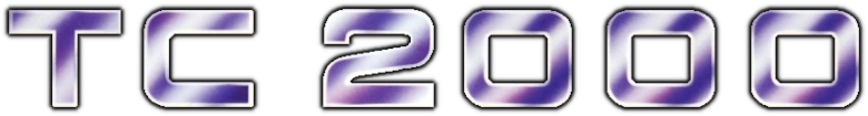 Полицейский 2000 года