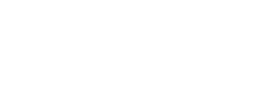 Библиотекарь: В поисках копья судьбы