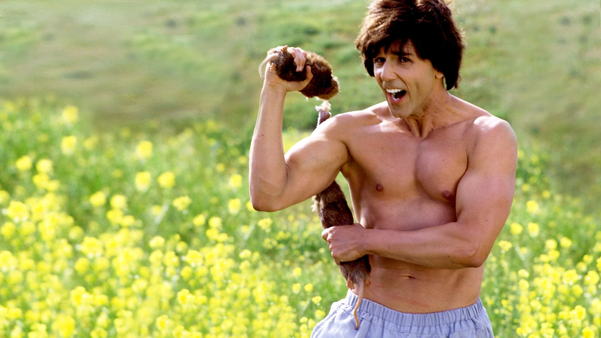 Кунг По: Нарвись на кулак