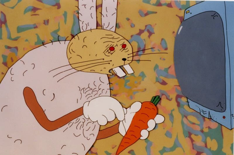 Ночь морковок