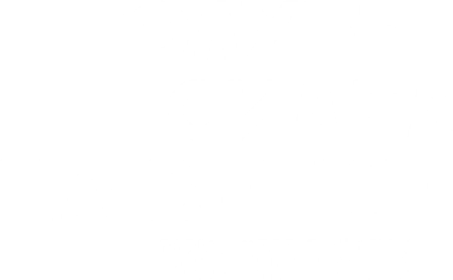 Голубь сидел на ветке, размышляя о бытии