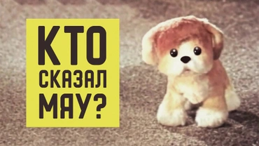 Кто сказал мяу?