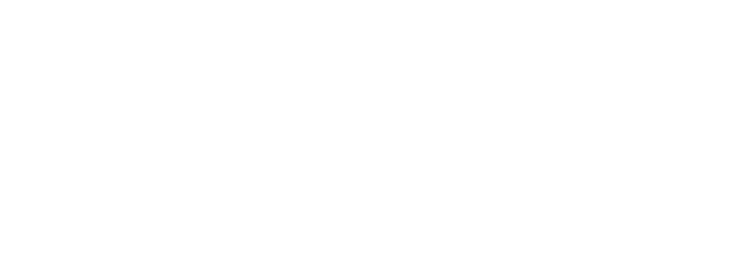 Храбрый Пак