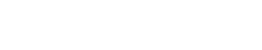 Ликвидаторы
