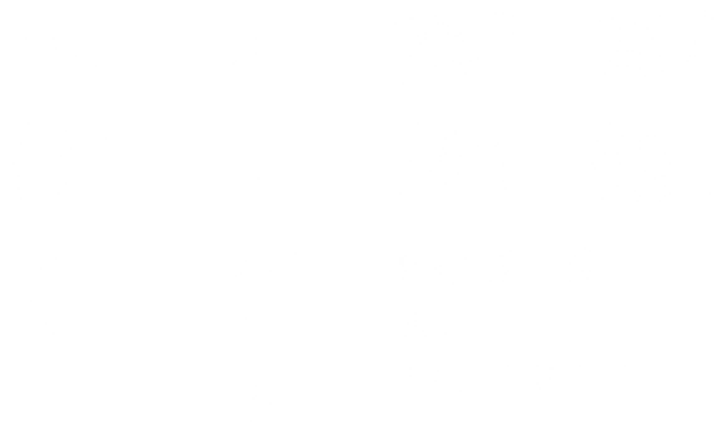 Рохан Кисибэ в Лувре