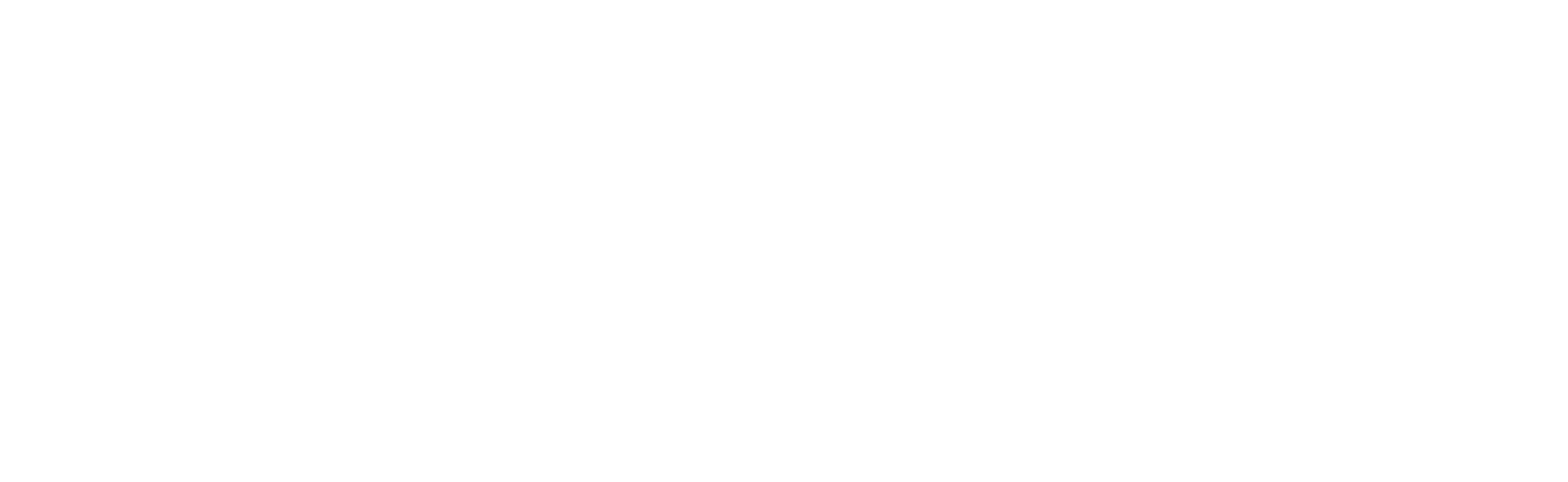 Дублёр