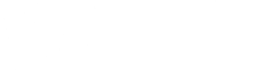 Дублёр