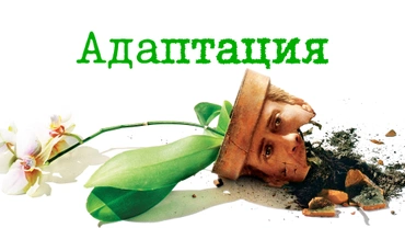 Адаптация (2002)