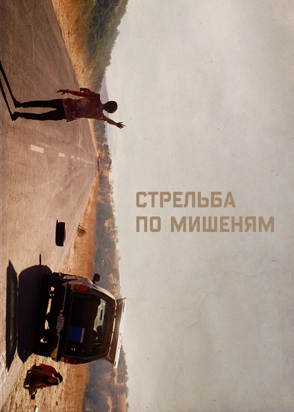 Стрельба по мишеням
