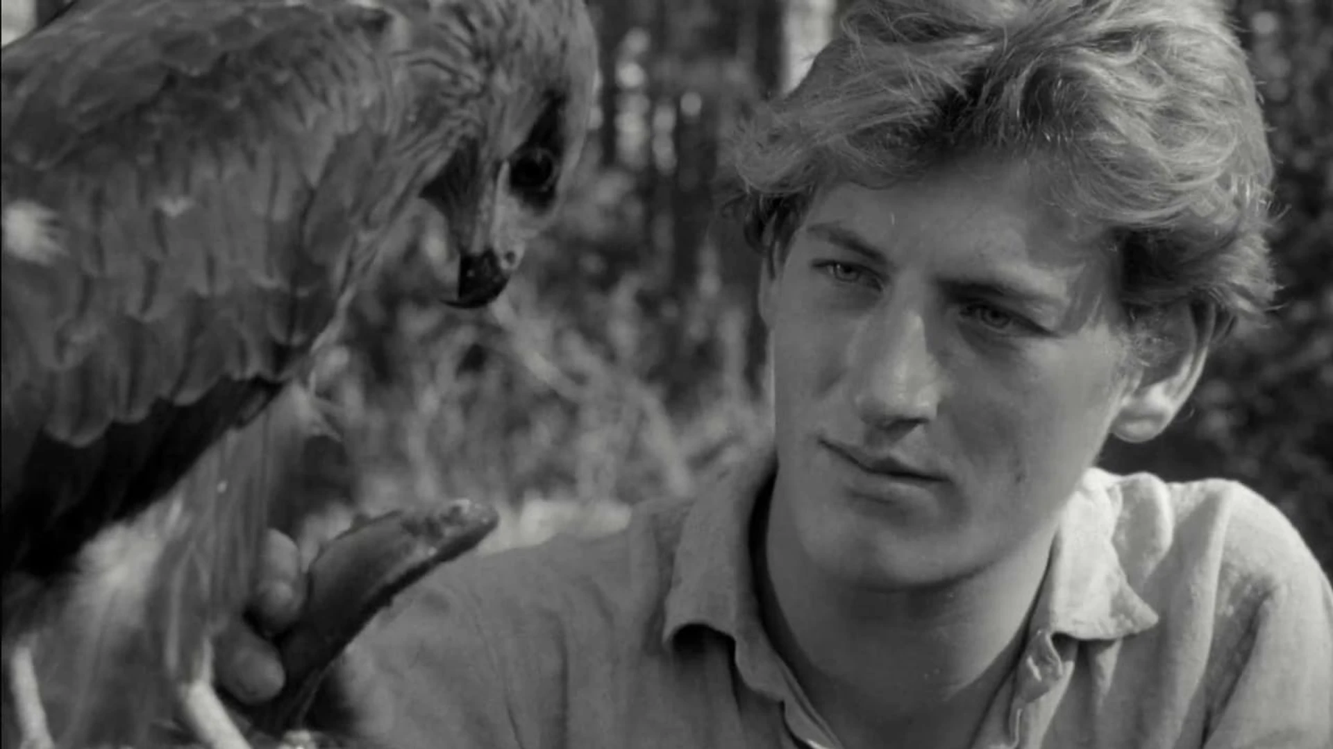 Плавание плотов