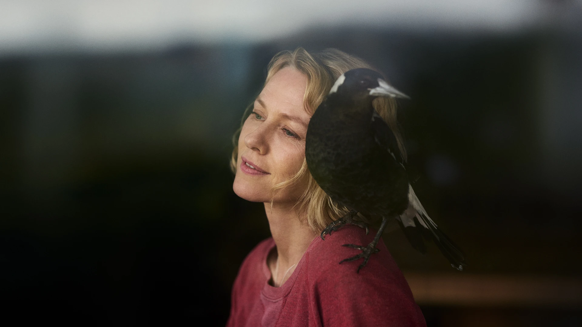 История семьи Блум