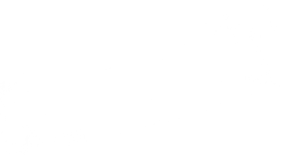 Рейс навылет