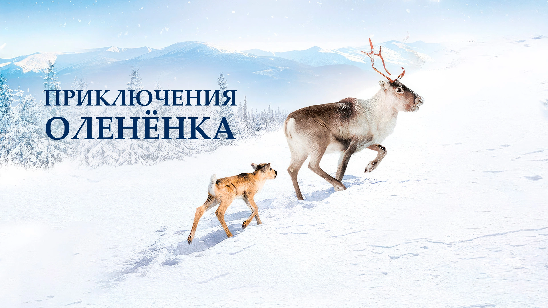 Приключения оленёнка