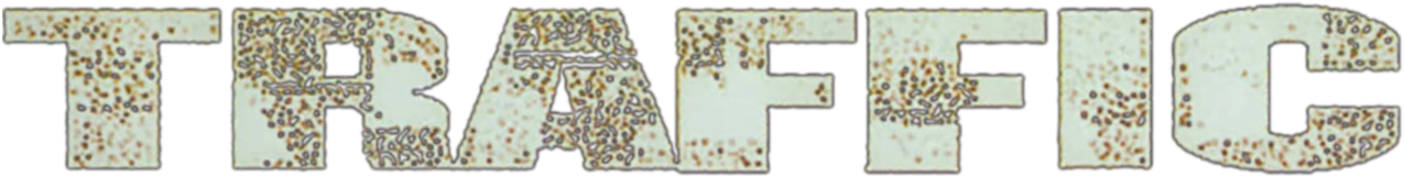 Траффик