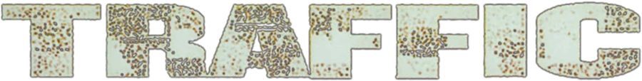Траффик