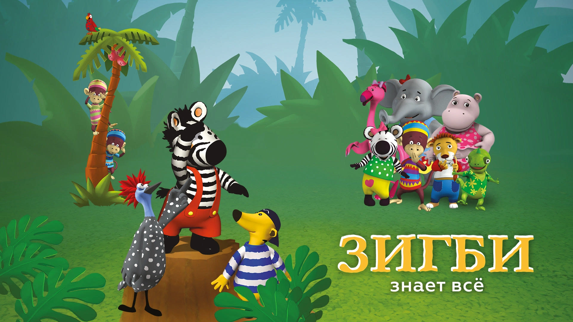 Зебра зигби. Зигби и его друзья. Зигби знает всё большая гонка. Зебра зигби. Зигби знает все.