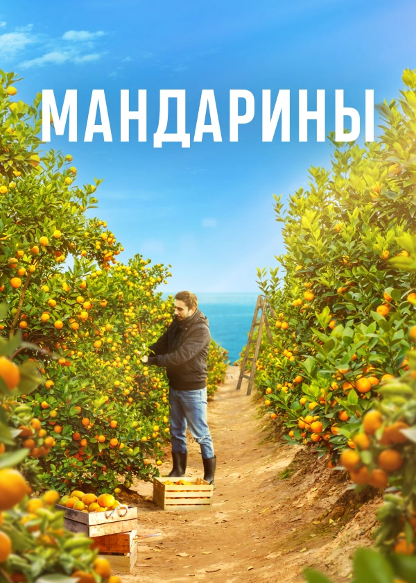 Мандарины