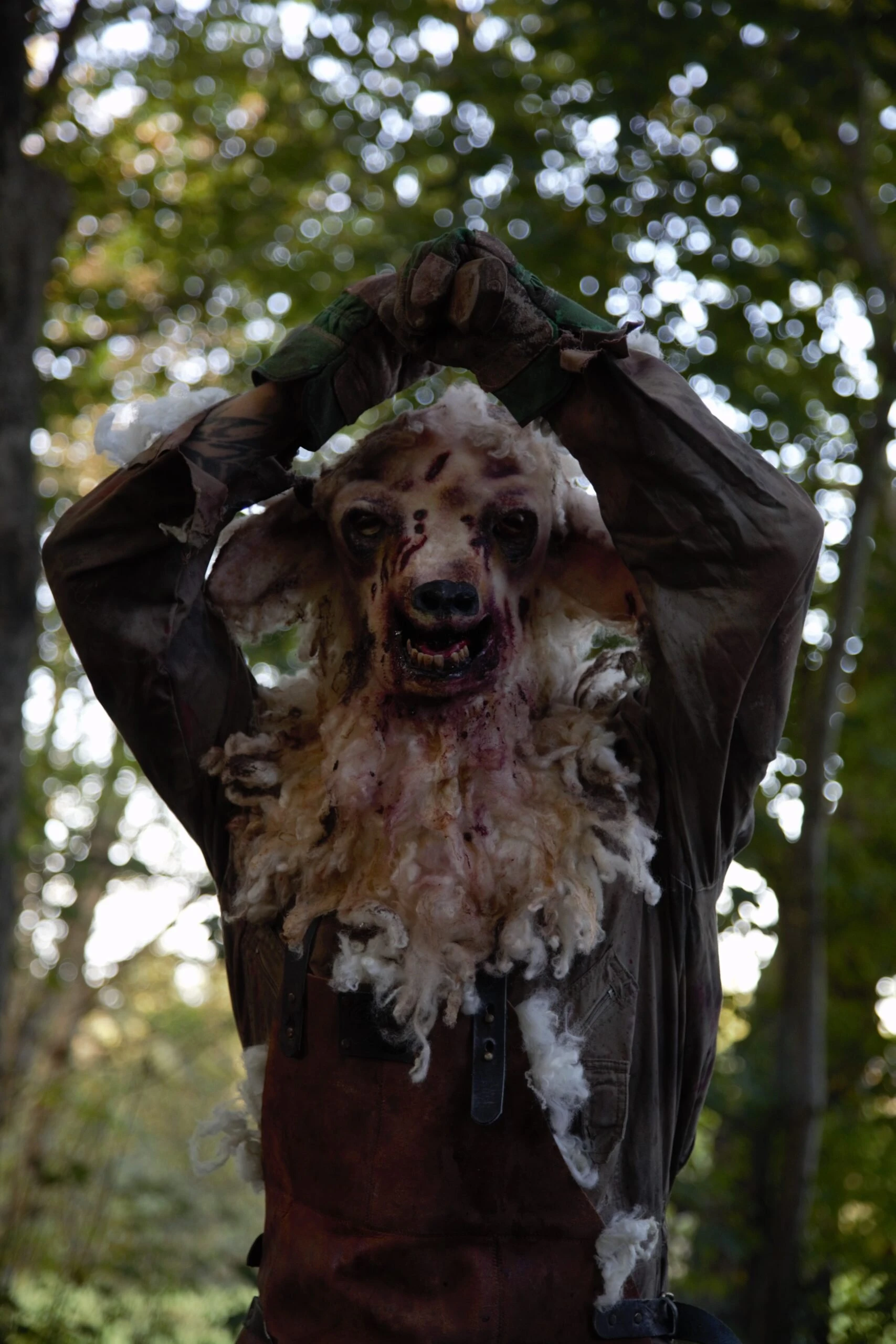 У Мэри был ягнёнок