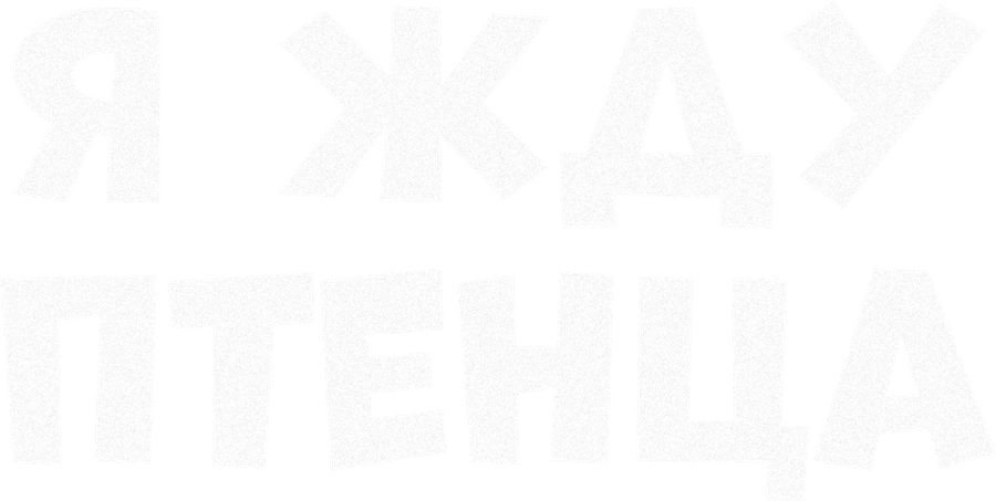 Я жду птенца