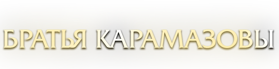 Братья Карамазовы (2008)
