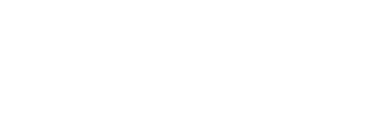 Потерянный рейс