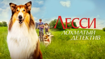 Лесси – лохматый детектив