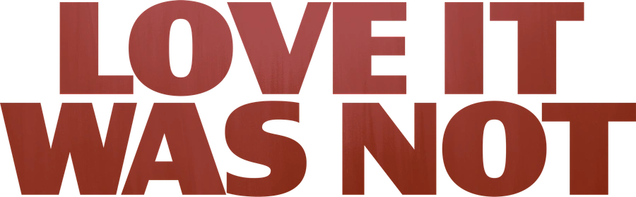 Это была не любовь