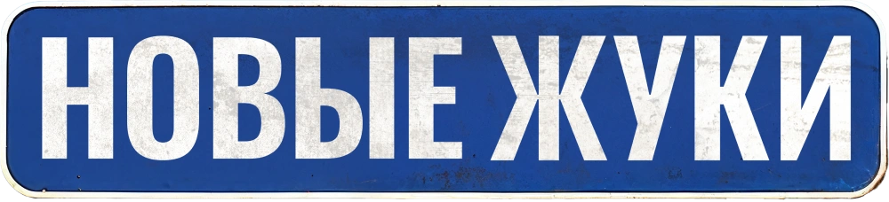ЖУКИ