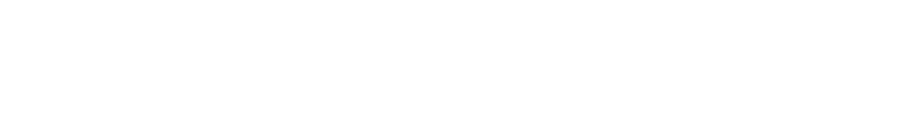 Новый Амстердам