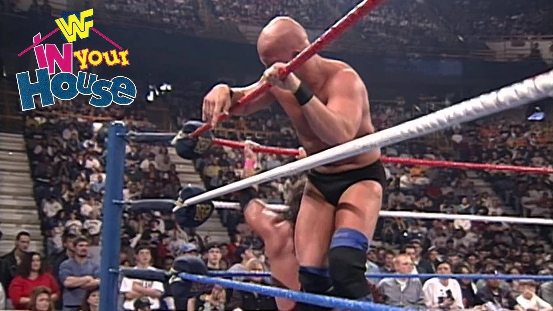 WWF В твоем доме 13: Финальная четверка