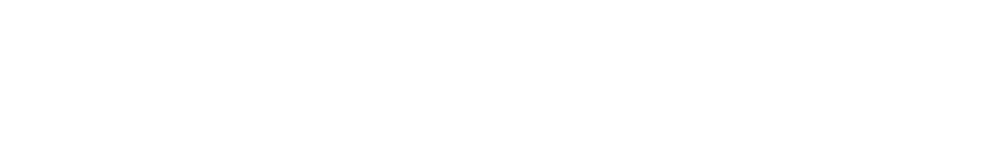 Встреча выпускников 2.0: Свадьба