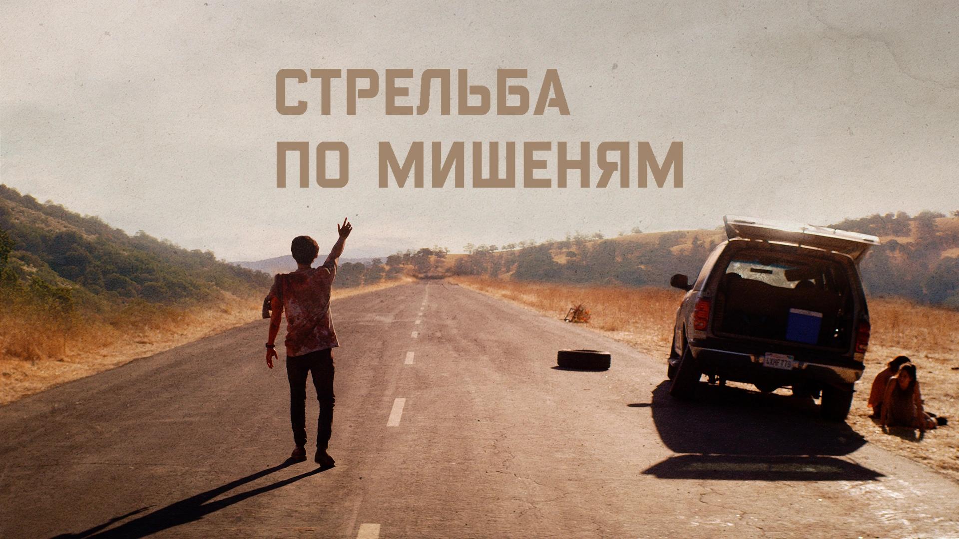 Стрельба по мишеням