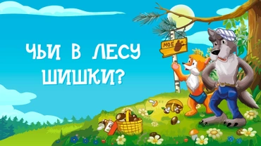 Чьи в лесу шишки?