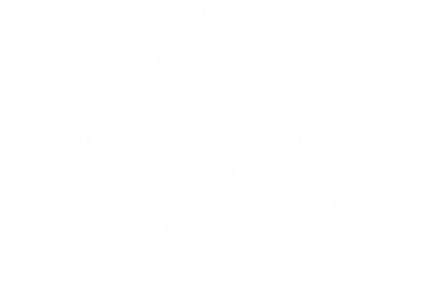Гуд бай, Ленин!