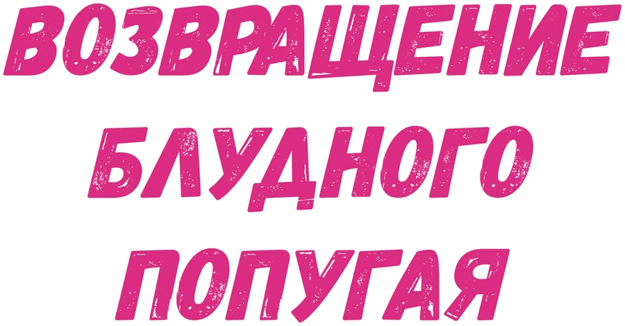 Возвращение блудного попугая