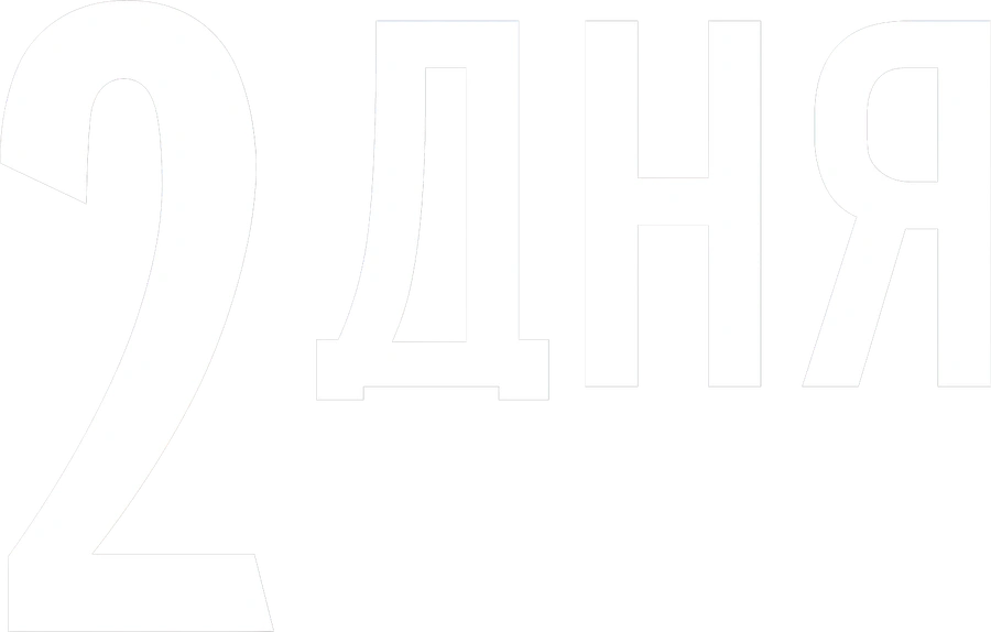 2 дня