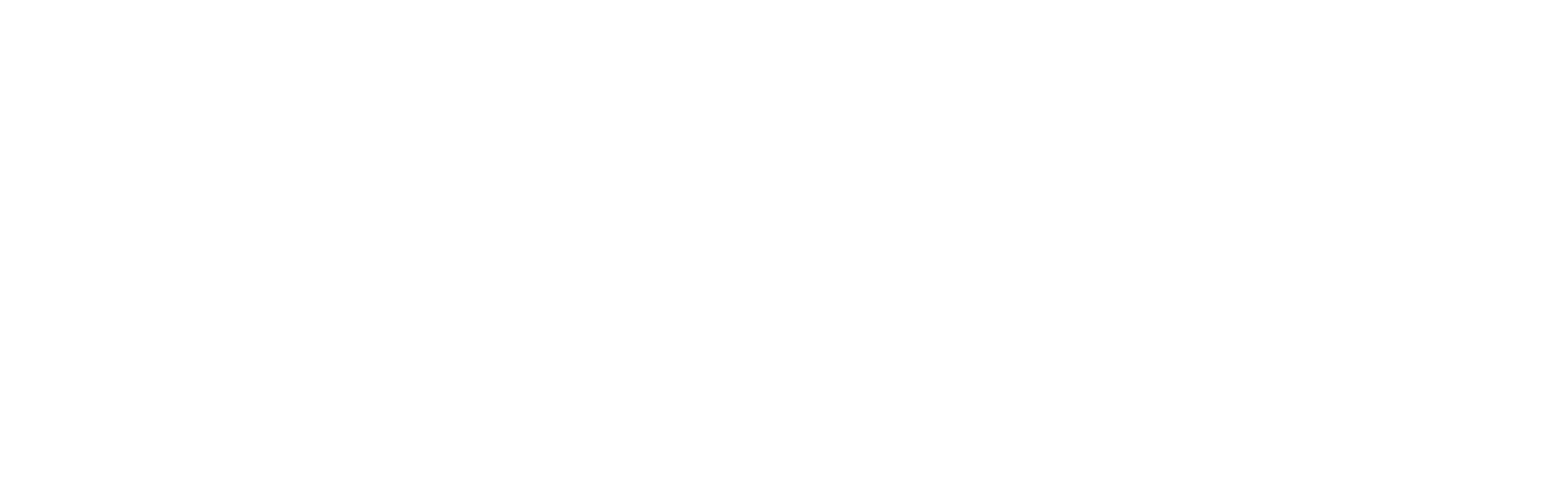 Луна-метеорит