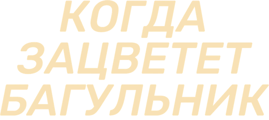 Когда зацветет багульник