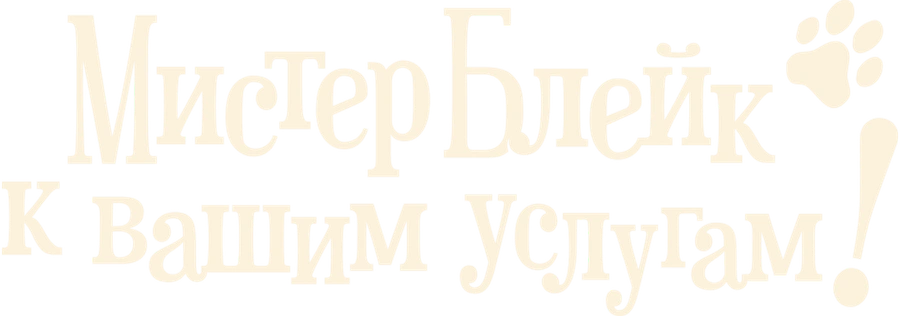 Мистер Блейк к вашим услугам