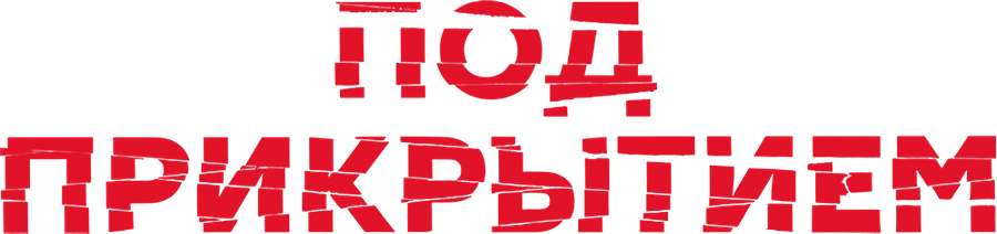 Под прикрытием (2020)
