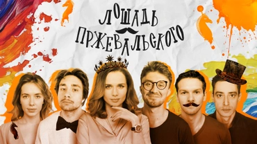 Лошадь Пржевальского