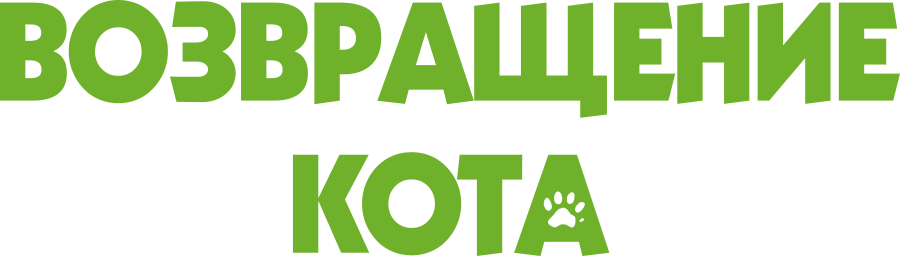 Возвращение кота