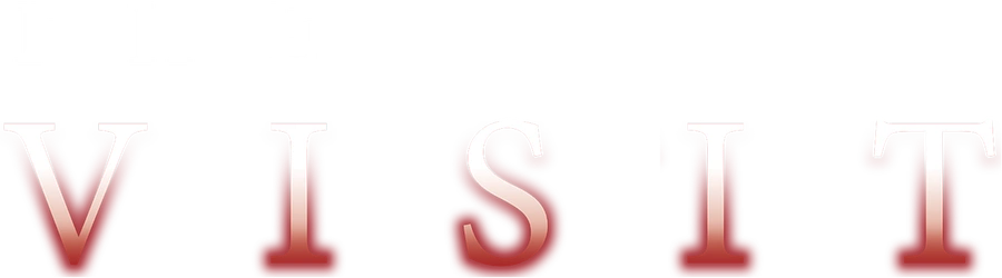 Визит