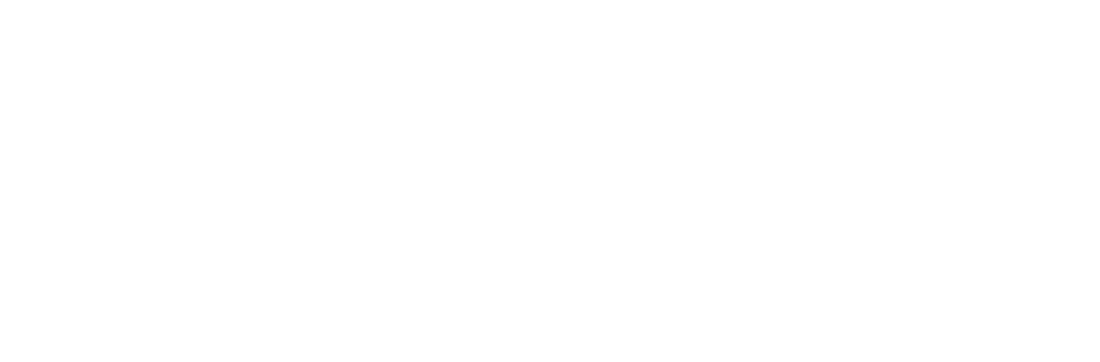 Дорогой Вилли