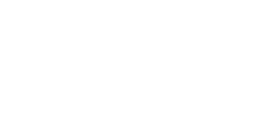 Жена путешественника во времени