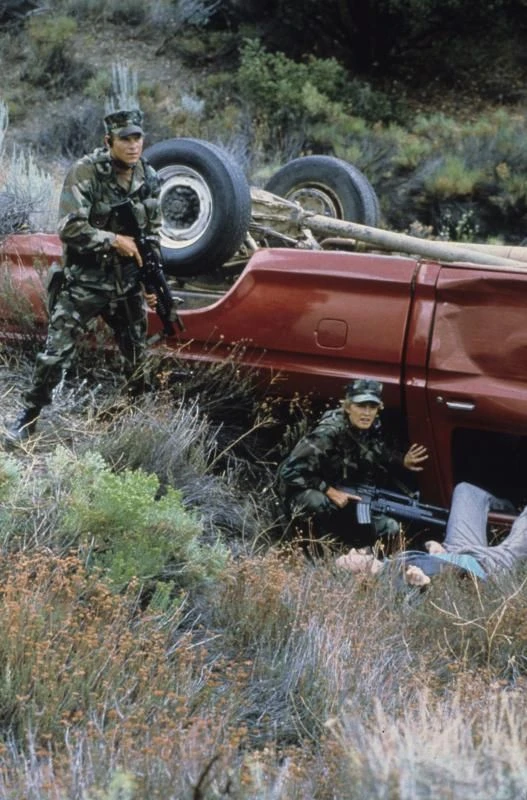 Золотые крылья Пенсаколы