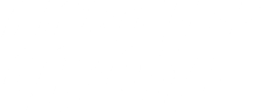 Попутчик