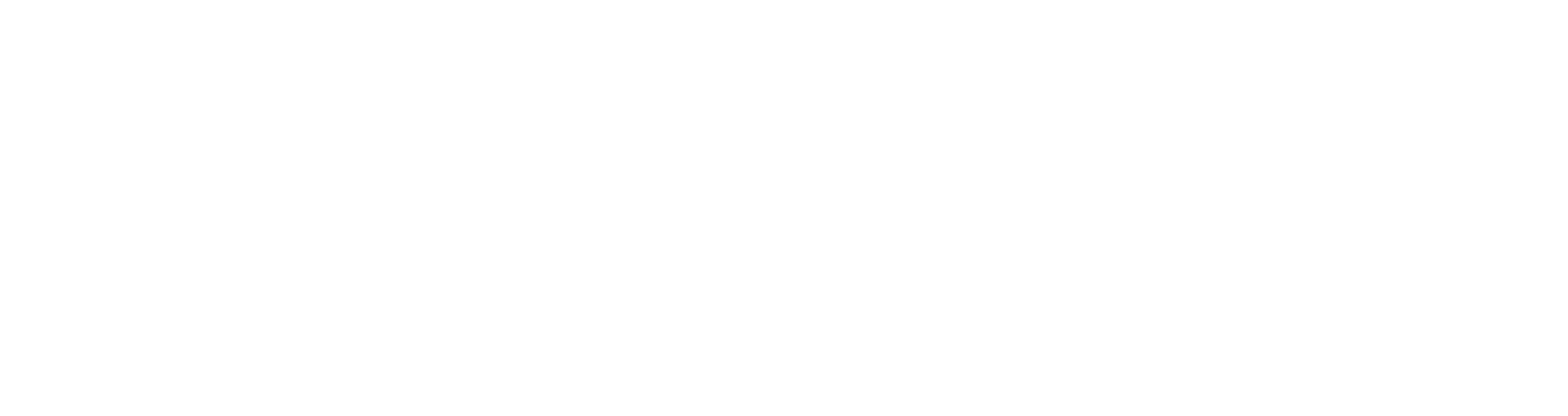 Неисправимые