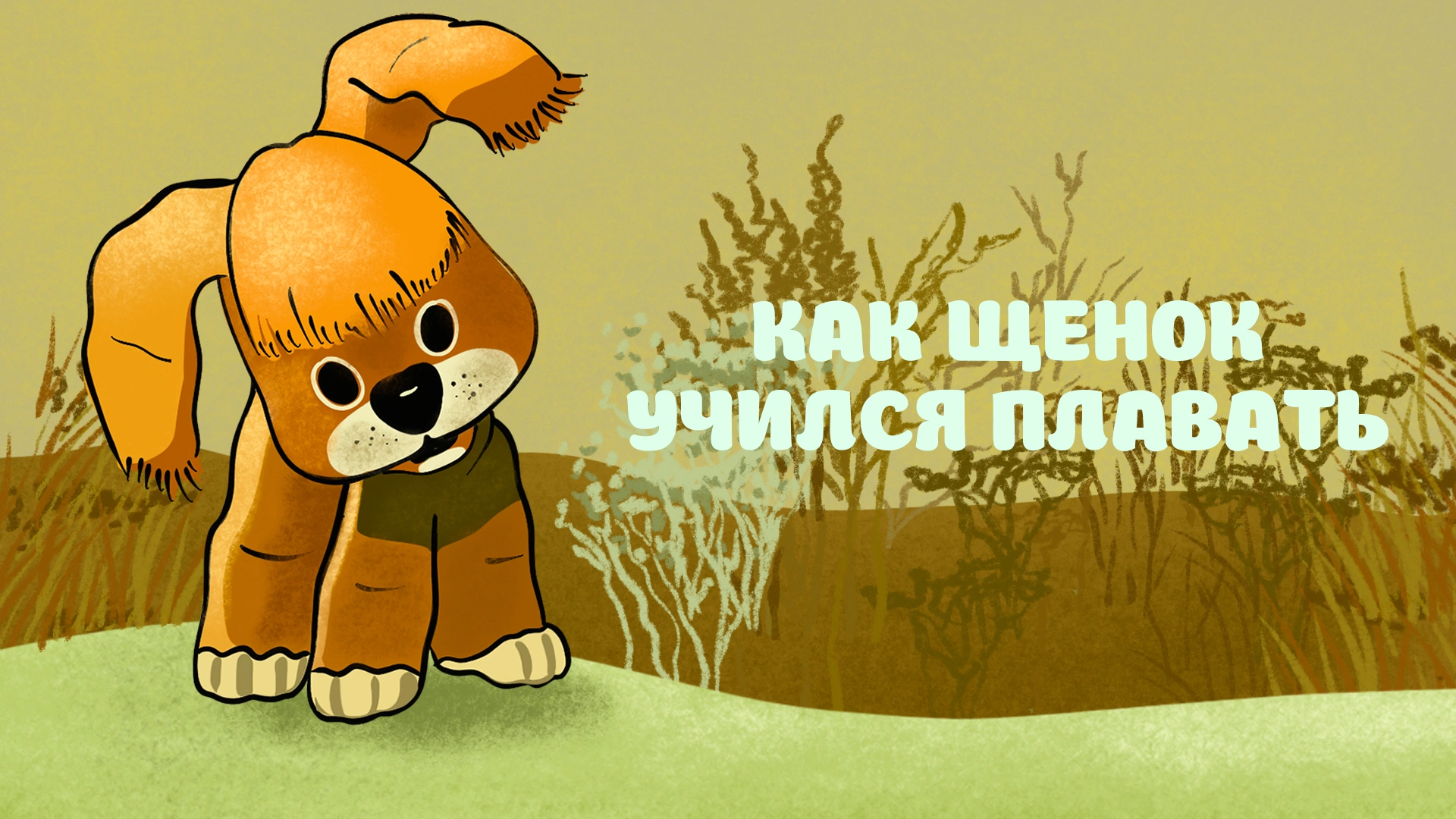 Как щенок учился плавать