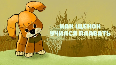 Как щенок учился плавать